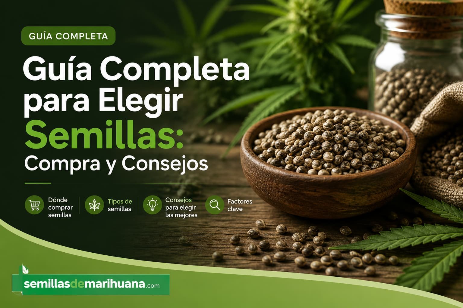 Guía y consejos para elegir semillas